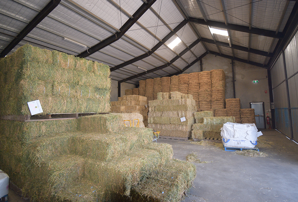 bulk-hay-supplies-sanders-fodder-gawler-south-australia
