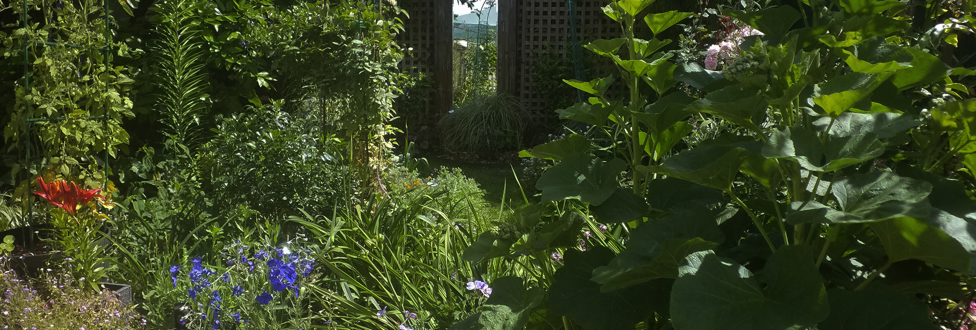 garden-products-and-supplies-sanders-fodder
