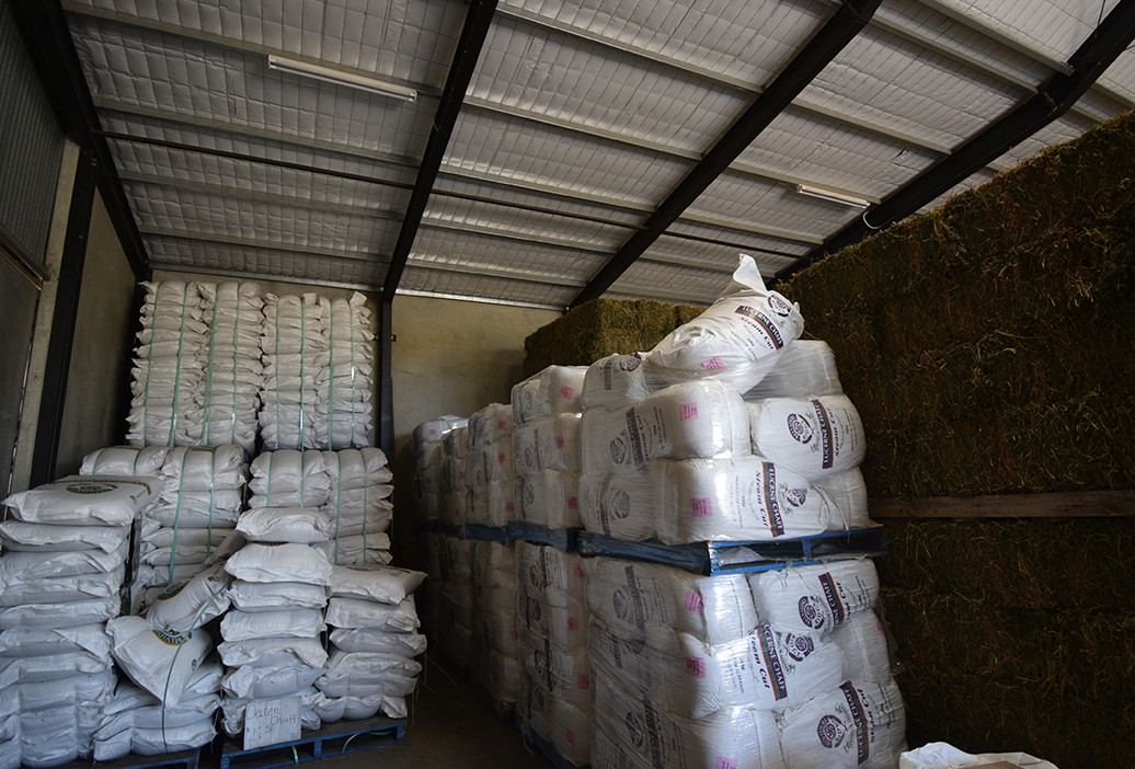 hay-supplies-sanders-fodder-gawler-south-australia