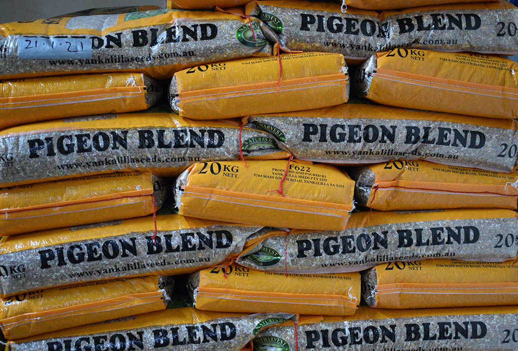 bird-feed-supplies-equipment-sanders-fodder-7
