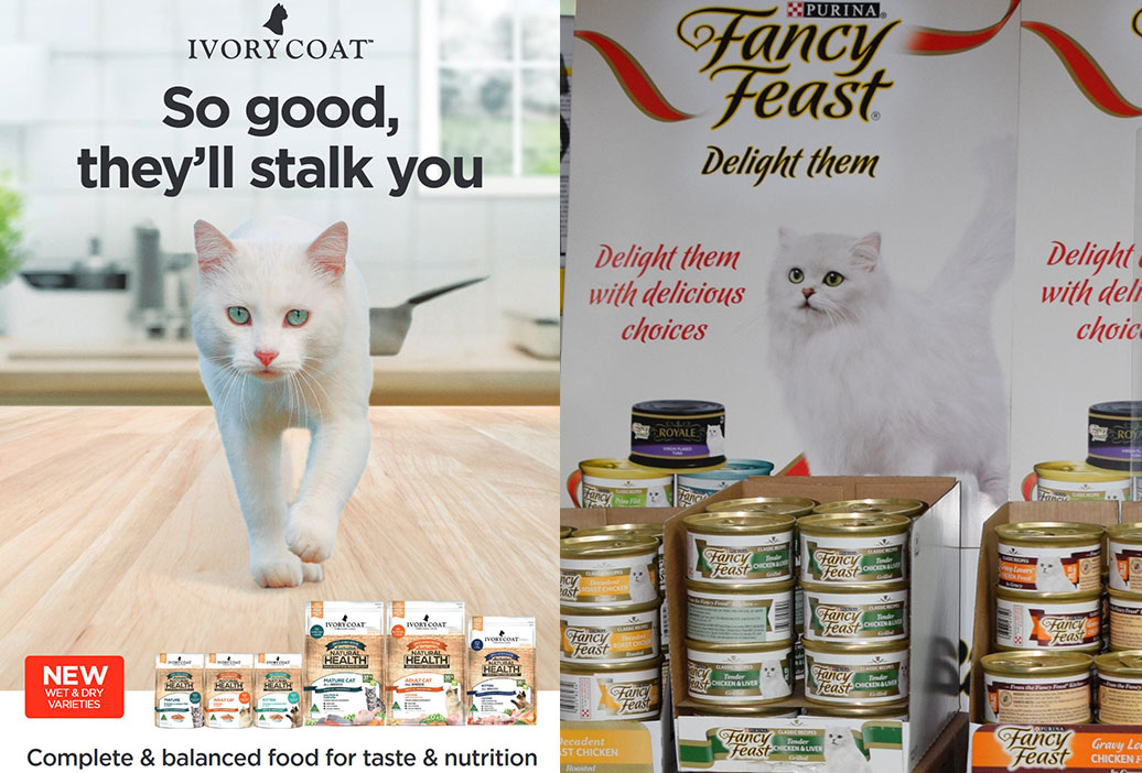 cat-feed-supplies-sanders-fodder-7
