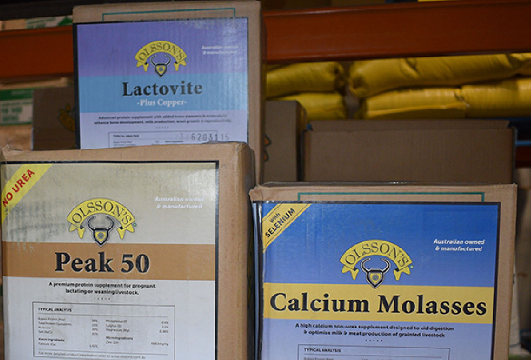 cattle-feed-supplies-sanders-fodder-2