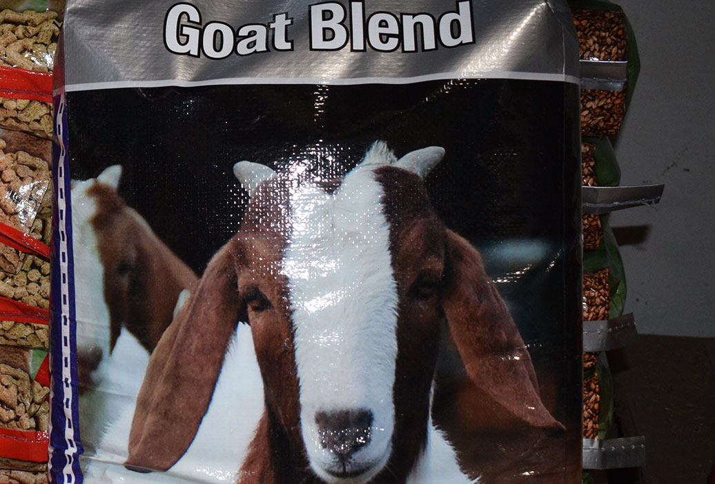 goat-feed-supplies-sanders-fodder-5