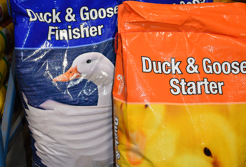 poultry-chicken-feed-supplies-equipment-11