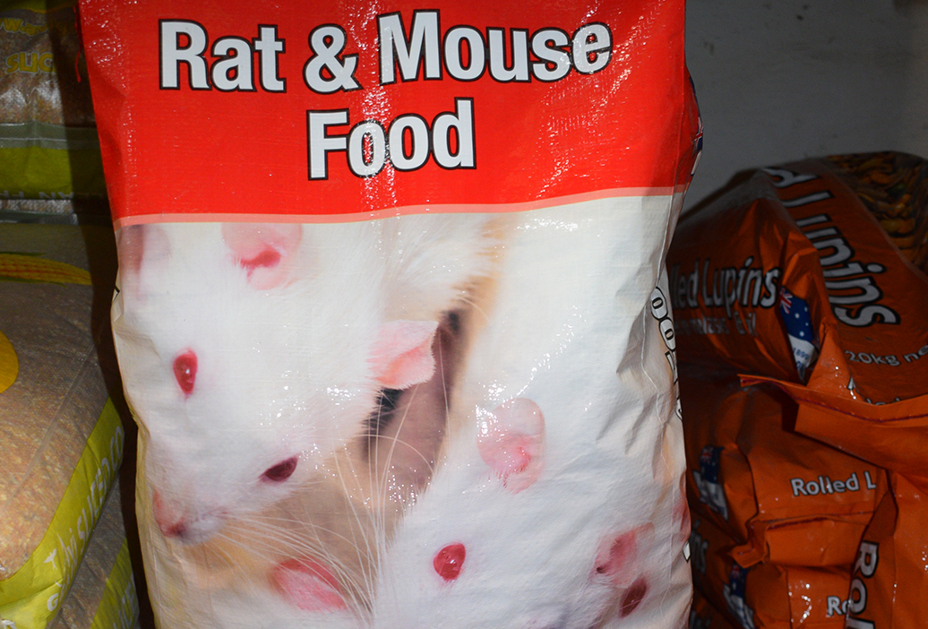 rabbit-feed-supplies-sanders-fodder-3