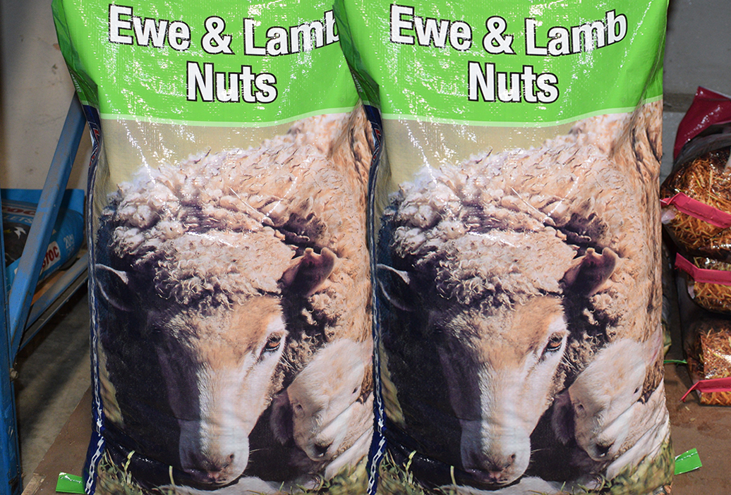 sheep-lamb-supplies-equipment-sanders-fodder-1