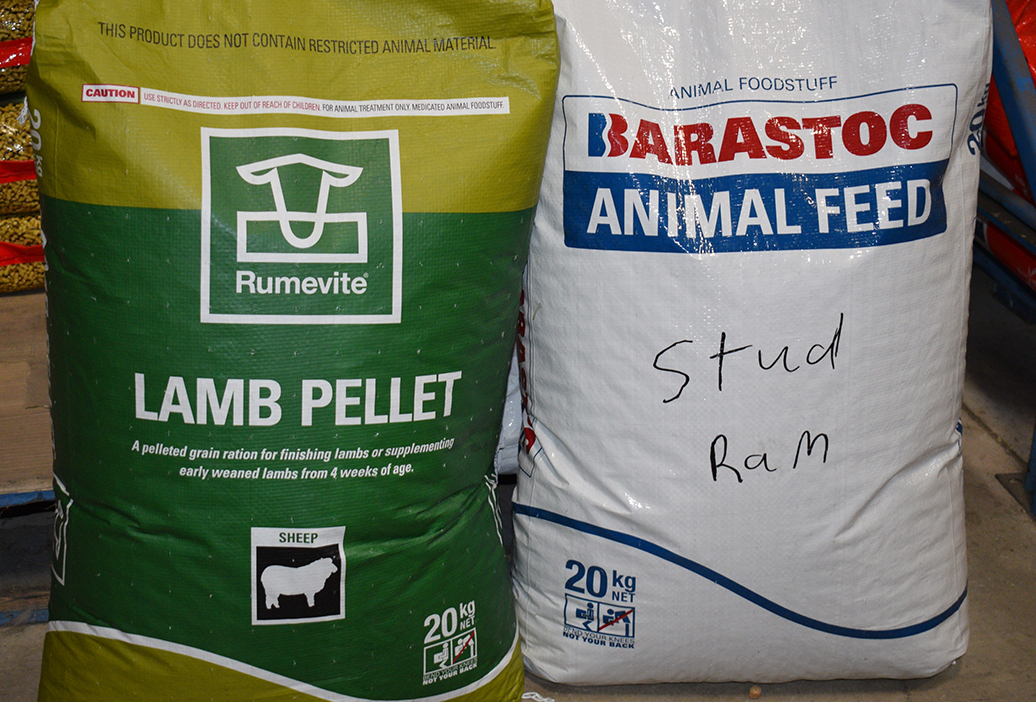 sheep-lamb-supplies-equipment-sanders-fodder-3