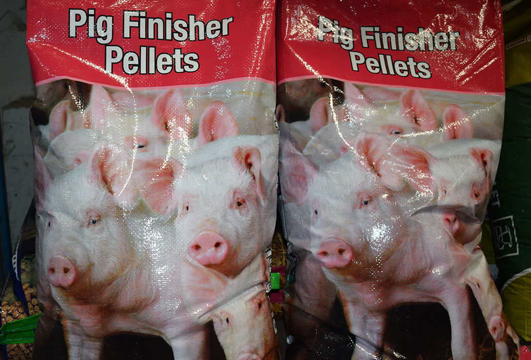 pig-feed-supplies-sanders-fodder-1