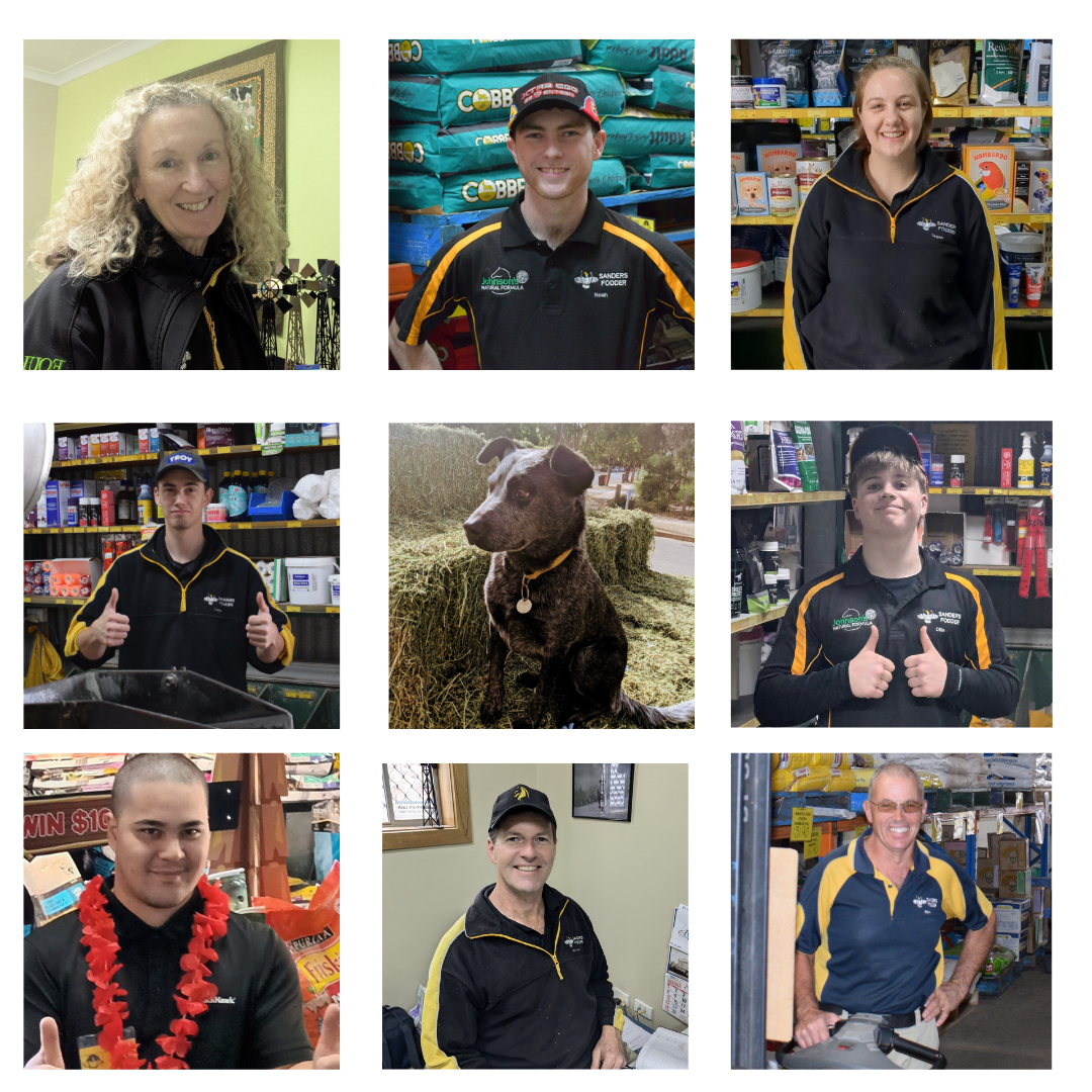 staff pic collage